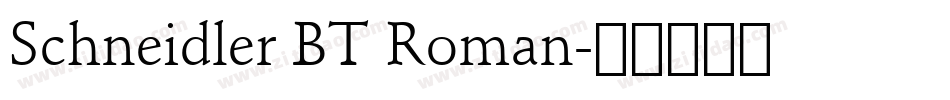Schneidler BT Roman字体转换